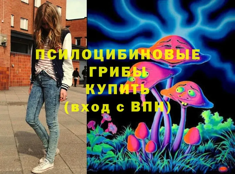 где продают   Нытва  Галлюциногенные грибы Psilocybine cubensis 